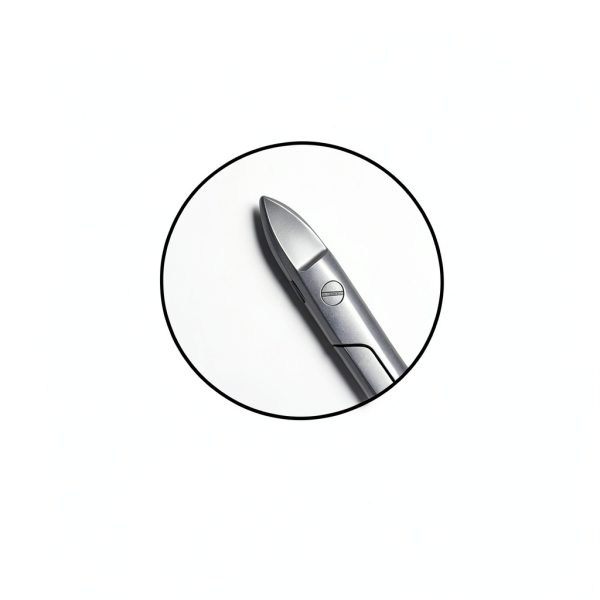 Crown Beebee 4.5" Straight Scissors by SurgicalOnline Dental-2